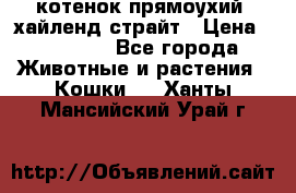 котенок прямоухий  хайленд страйт › Цена ­ 10 000 - Все города Животные и растения » Кошки   . Ханты-Мансийский,Урай г.